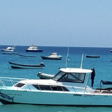 Santa Maria Fishing Charter profile photo