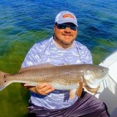 The Grateful Fred Charters