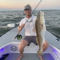 JT Orr profile photo