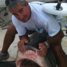 Robert Lorello profile photo