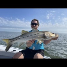 Bryce Greene profile photo