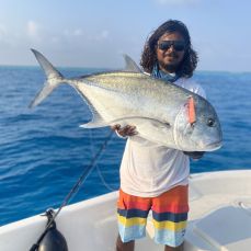 Sarmih . profile photo