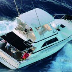 Royal Charters Mallorca profile photo