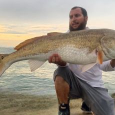 Nick Siciliano profile photo