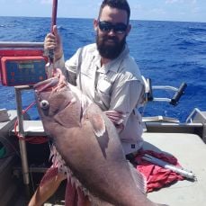 Out N About Sportfishing (Port Douglas)