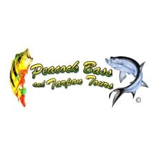 Peacock Bass And Tarpon Tours profile photo