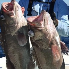 Dan Ballard profile photo