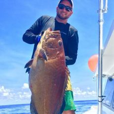 Vinnie Sacks profile photo