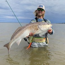 Colin O’brien profile photo