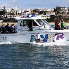 Luis Lourenco profile photo