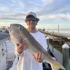 Chase Osborne profile photo