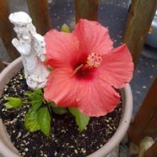 Kings Landing Sportfishing