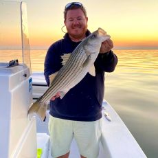 William Powell profile photo