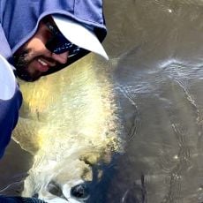 Luis Garcia profile photo