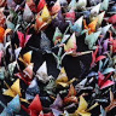 BGS South Charters LLC