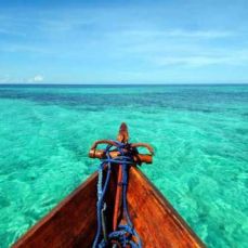 Zanzibar Big Game Fishing profile photo