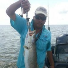 Michael Meza profile photo