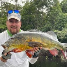 KA Guide Service Santee (Bass)