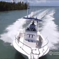 Brandon Spina profile photo